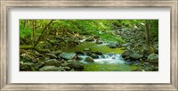 Framed Creek in Great Smoky Mountains National Park, Tennessee