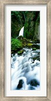 Framed Wahclella Falls, Columbia River Gorge, Oregon