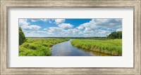 Framed Myakka River State Park, Sarasota, Florida