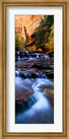 Framed North Creek, Zion National Park, Utah