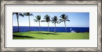 Framed Golf Course, Big Island HI