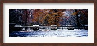 Framed Snow Covered Balcony in Central Park, New York City