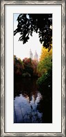 Framed Central Park, Manhattan, New York City