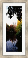 Framed Central Park, Manhattan, New York City