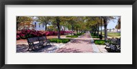 Framed Waterfront Park in Charleston, SC