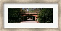 Framed Footbridge in Central Park, Manhattan, New York City