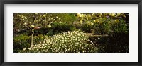 Framed Flowers in Central Park, Manhattan, New York City