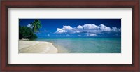 Framed Palm Tree in the French Polynesia
