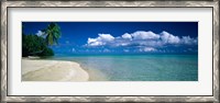 Framed Palm Tree in the French Polynesia