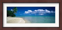 Framed Palm Tree in the French Polynesia