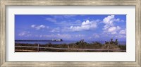 Framed Anna Maria Island City Pier, Tampa Bay, Florida