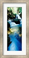 Framed Waterfall in Hilo, HI
