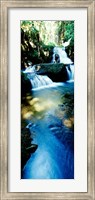 Framed Waterfall in Hilo, HI