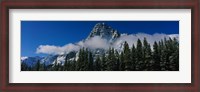 Framed Jasper National Park, Canadian Rockies
