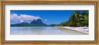 Framed Palm Trees in Bora Bora, French Polynesia