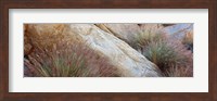 Framed Anza Borrego Desert State Park, Borrego Springs, California