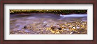 Framed Cimarron Creek, New Mexico