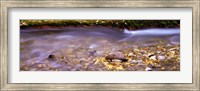 Framed Cimarron Creek, New Mexico