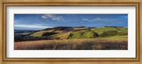 Framed Landscape, Scottish Borders, Scotland