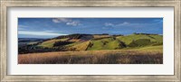 Framed Landscape, Scottish Borders, Scotland
