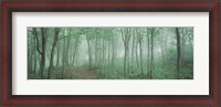 Framed Forest Niigata Martsunoyama-cho, Japan