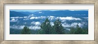 Framed Tonto National Forest, AZ
