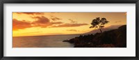 Framed Wailea Point, Maui, Hawaii