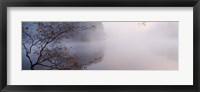 Framed Lake Vesuvius, Wayne National Forest, Ohio,