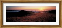 Framed Santa Cruz Mountains, CA