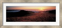 Framed Santa Cruz Mountains, CA