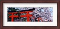 Framed Japan Takenaka Inari Shrine