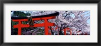 Framed Japan Takenaka Inari Shrine