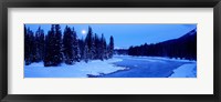 Framed Moon Rising Above The Forest, Banff National Park, Alberta, Canada