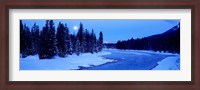 Framed Moon Rising Above The Forest, Banff National Park, Alberta, Canada