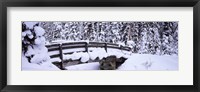 Framed Snowy Bridge in Banff National Park, Alberta, Canada