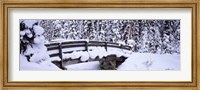 Framed Snowy Bridge in Banff National Park, Alberta, Canada