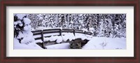 Framed Snowy Bridge in Banff National Park, Alberta, Canada