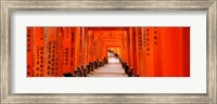Framed Tunnel of Torii Gates, Fushimi Inari Shrine, Japan