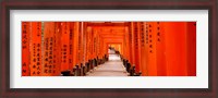 Framed Tunnel of Torii Gates, Fushimi Inari Shrine, Japan