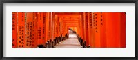 Framed Tunnel of Torii Gates, Fushimi Inari Shrine, Japan