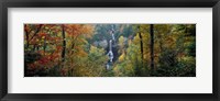 Framed Raven Cliff Falls, Sumter National Forest, Greenville County, South Carolina