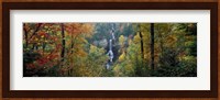 Framed Raven Cliff Falls, Sumter National Forest, Greenville County, South Carolina