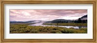 Framed Yellowstone Park, Snake River, Wyoming