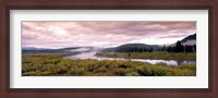 Framed Yellowstone Park, Snake River, Wyoming