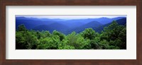 Framed Smoky Mountain National Park, Tennessee