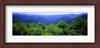 Framed Smoky Mountain National Park, Tennessee
