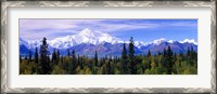 Framed Denali National Park, Alaska