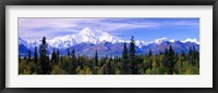 Framed Denali National Park, Alaska