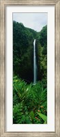 Framed Akaka Falls
