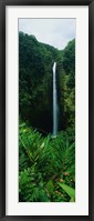 Framed Akaka Falls